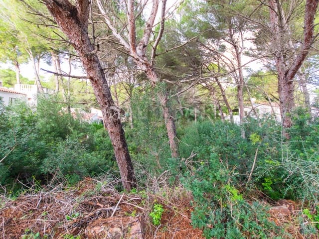 Byggetomt til salgs i Son Parc, Es Mercadal - € 175 000 (Ref: 9631615)