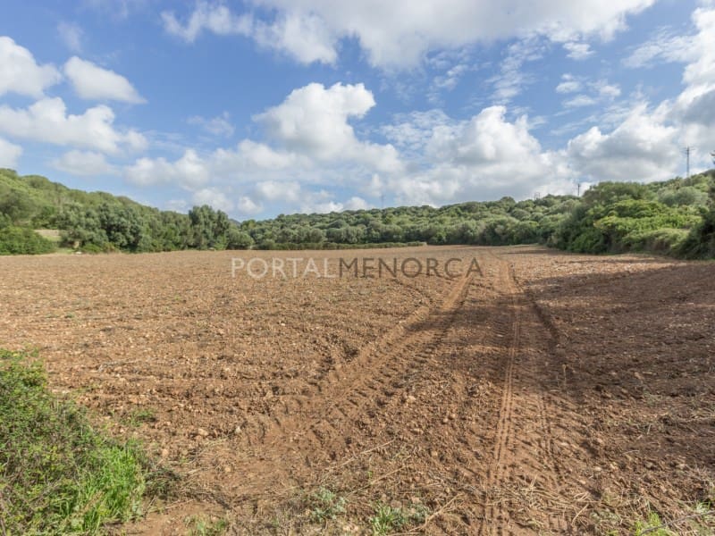 5 sovrum Finca/Hus på landet till salu i Ferreries - 1 700 000 € (Ref: 9631648)