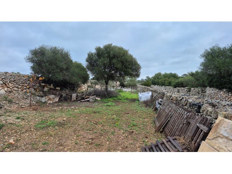 4 quarto Quinta/Casa Rural para venda em San Luis / Sant Lluis - 1 360 000 € (Ref: 9631669)