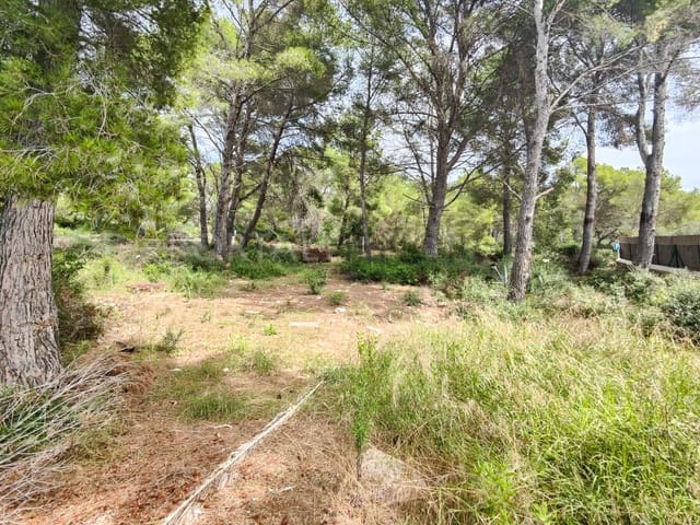 Bauplatz zu verkaufen in Son Parc, Es Mercadal - 210.000 € (Ref: 9631674)