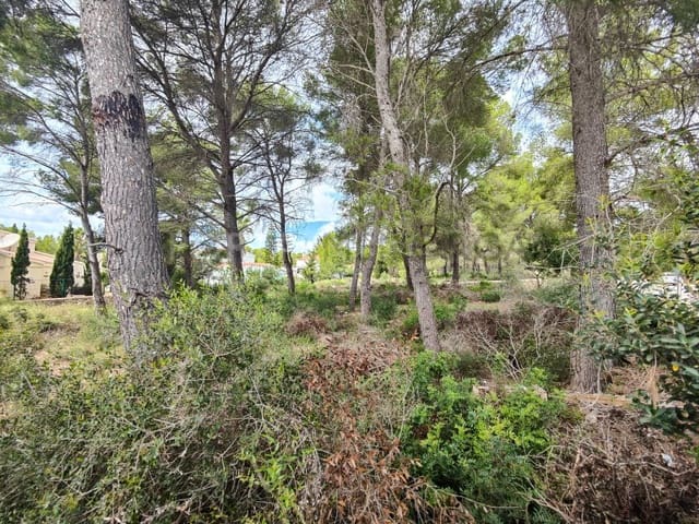 Bauplatz zu verkaufen in Son Parc, Es Mercadal - 210.000 € (Ref: 9631674)