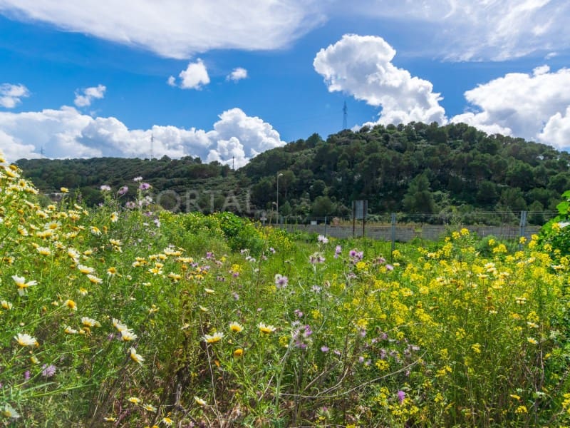 Byggetomt til salgs i Ferreries - € 231 000 (Ref: 9631694)