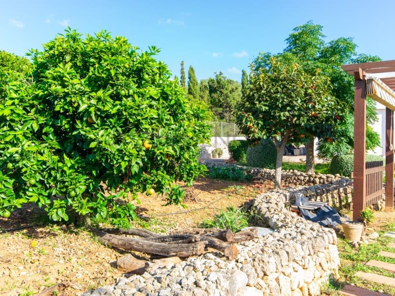 4 chambre Finca/Maison de Campagne à vendre à La Argentina avec piscine garage - 875 000 € (Ref: 9631705)