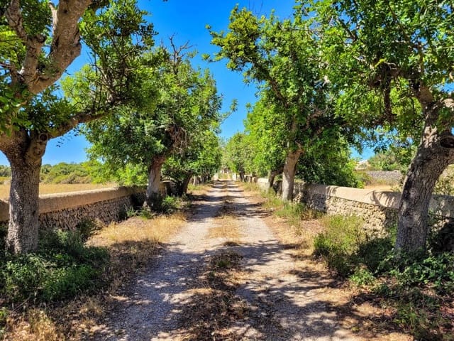 10 quarto Quinta/Casa Rural para venda em Alayor / Alaior - 3 536 000 € (Ref: 9631707)