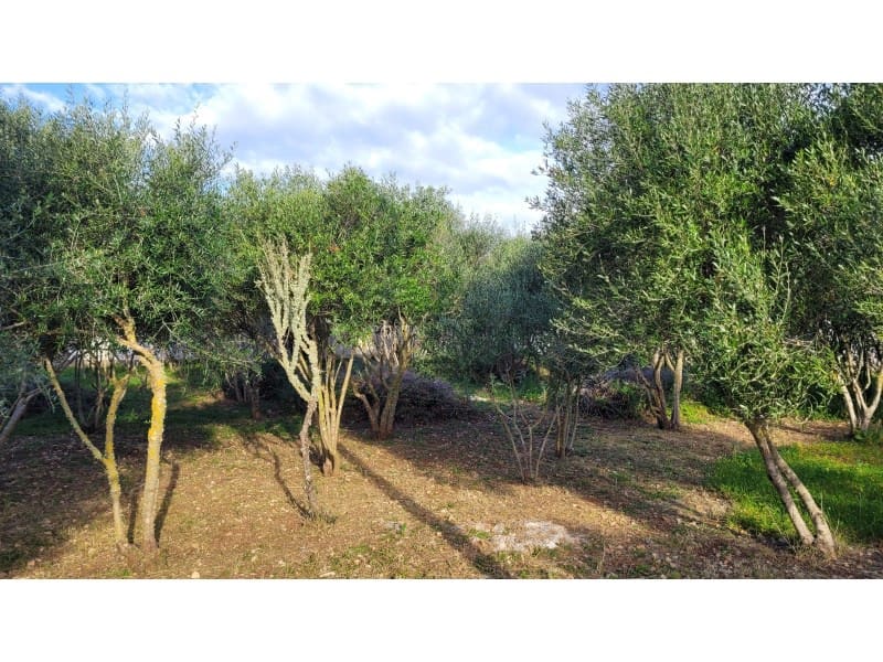 5 soverom Finca/Herregård til salgs i Torret - € 700 000 (Ref: 9634403)