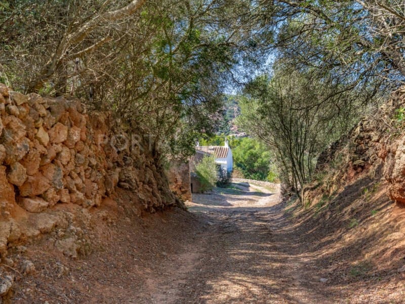 6 camera da letto Finca/Casa di Campagna in vendita in Serra Morena - 2.250.000 € (Rif: 9639363)