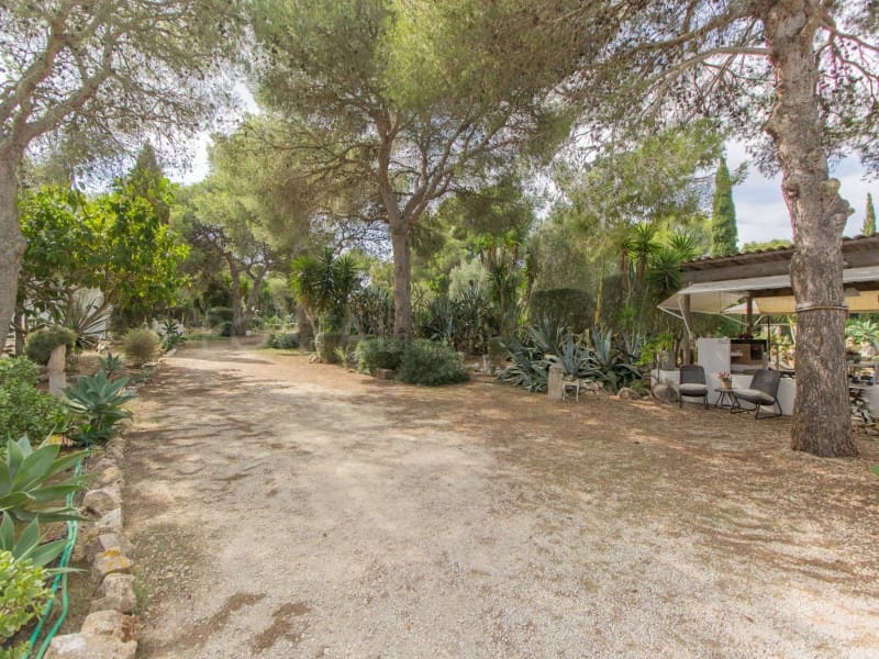 5 makuuhuone Maalaistalo myytävänä paikassa San Luis / Sant Lluis mukana uima-altaan 
autotalli - 1 510 000 € (Ref: 9639380)