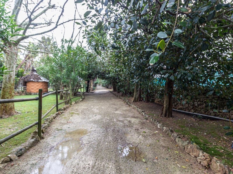 Finca/Casa Rural de 6 habitaciones en Llucmaçanes en venta con piscina - 1.450.000 € (Ref: 9639393)