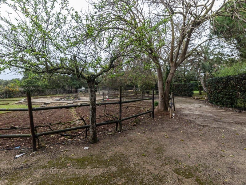 Finca/Casa Rural de 6 habitaciones en Llucmaçanes en venta con piscina - 1.450.000 € (Ref: 9639393)