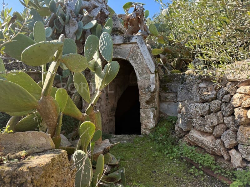 10 chambre Finca/Maison de Campagne à vendre à Ciutadella de Menorca - 950 000 € (Ref: 9639402)