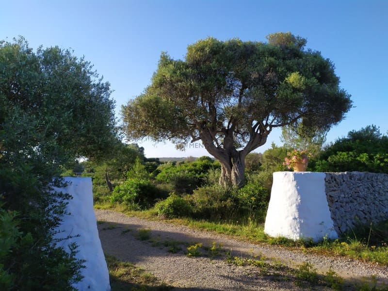 4 makuuhuone Maalaistalo myytävänä paikassa Torret mukana uima-altaan 
autotalli - 2 395 000 € (Ref: 9639405)