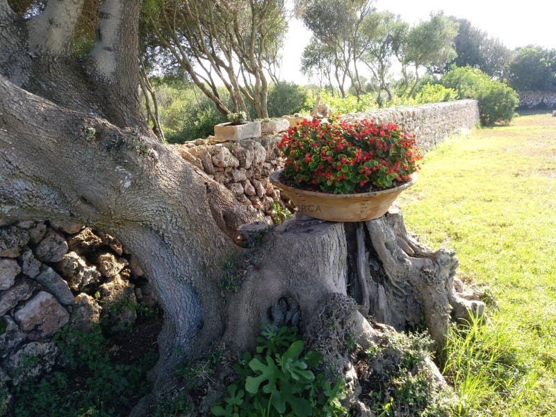 4 makuuhuone Maalaistalo myytävänä paikassa Torret mukana uima-altaan 
autotalli - 2 395 000 € (Ref: 9639405)