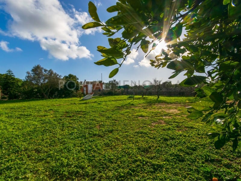 2 bedroom Finca/Country House for sale in San Luis / Sant Lluis with pool - € 318,500 (Ref: 9639412)