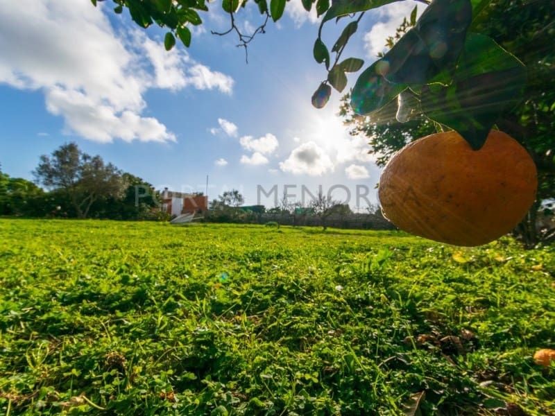 2 bedroom Finca/Country House for sale in San Luis / Sant Lluis with pool - € 318,500 (Ref: 9639412)