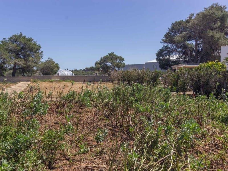 4 soverom Finca/Herregård til salgs i Mahon / Mao med svømmebasseng garasje - € 595 000 (Ref: 9857620)