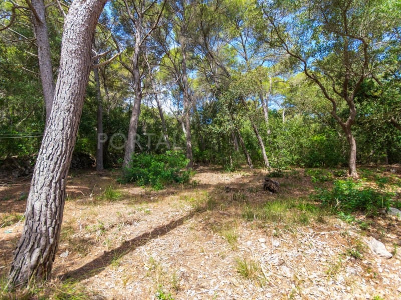 3 soverom Villa til salgs i Es Mercadal med svømmebasseng - € 680 000 (Ref: 9906972)