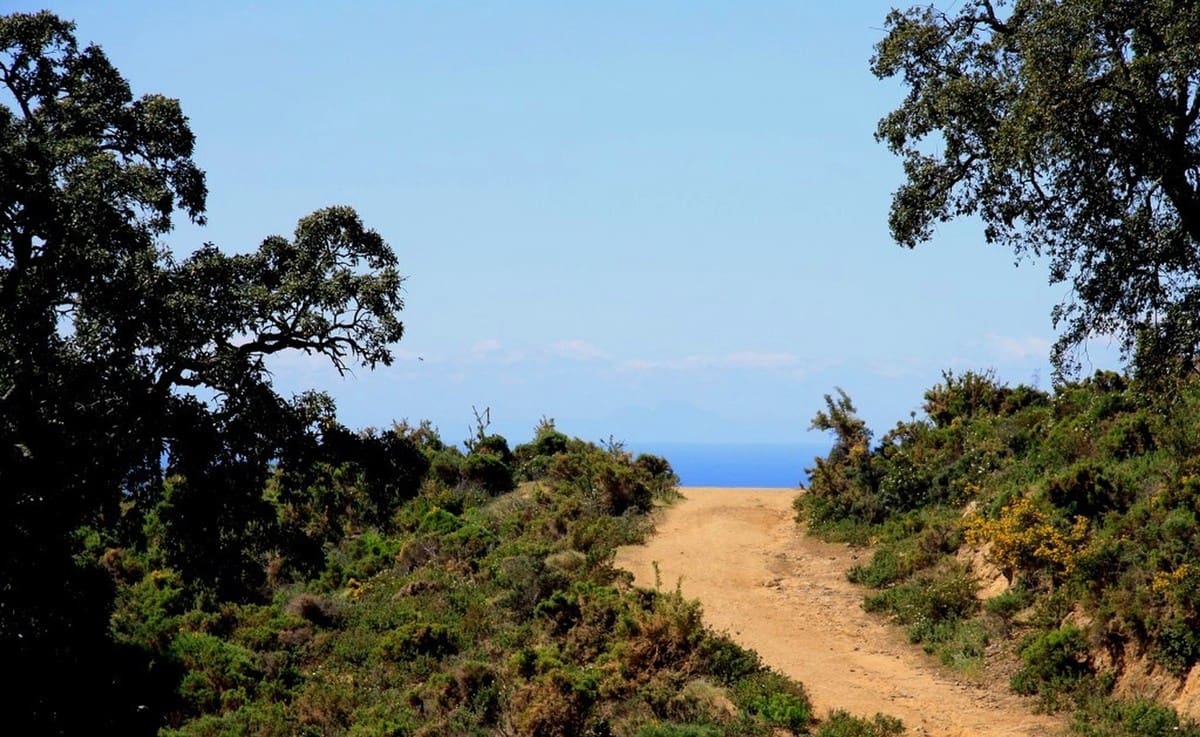 Villa til salg i La Mairena - € 2.355.000 (Ref: 6015398)