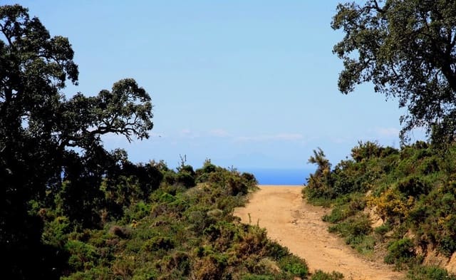 Villa/Maison à vendre à La Mairena, Ojen - 2 355 000 € (Ref: 6015398)