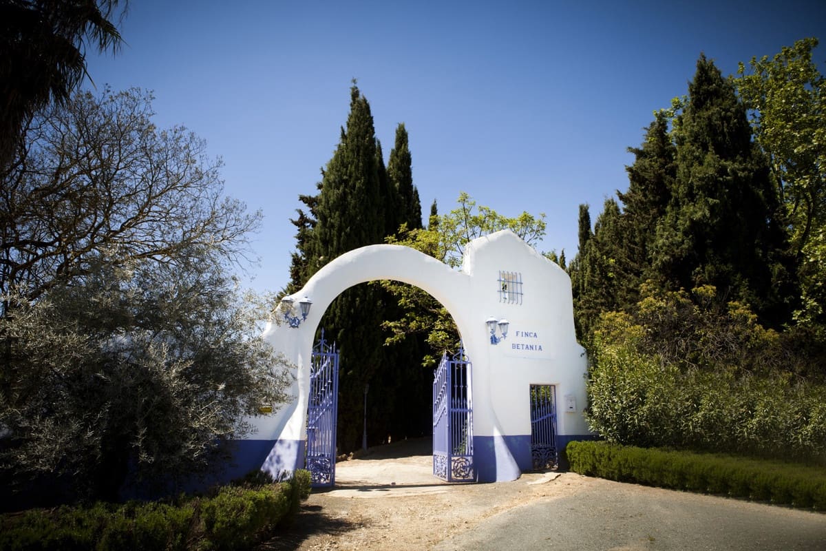 7 quarto Quinta/Casa Rural para venda em Archidona com piscina garagem - 1 200 000 € (Ref: 6226835)