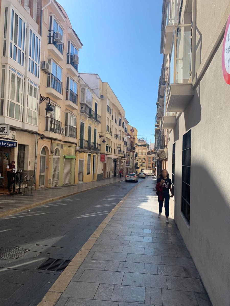 7 slaapkamer Hotel te koop in Malaga stad - € 1.650.000 (Ref: 6382139)