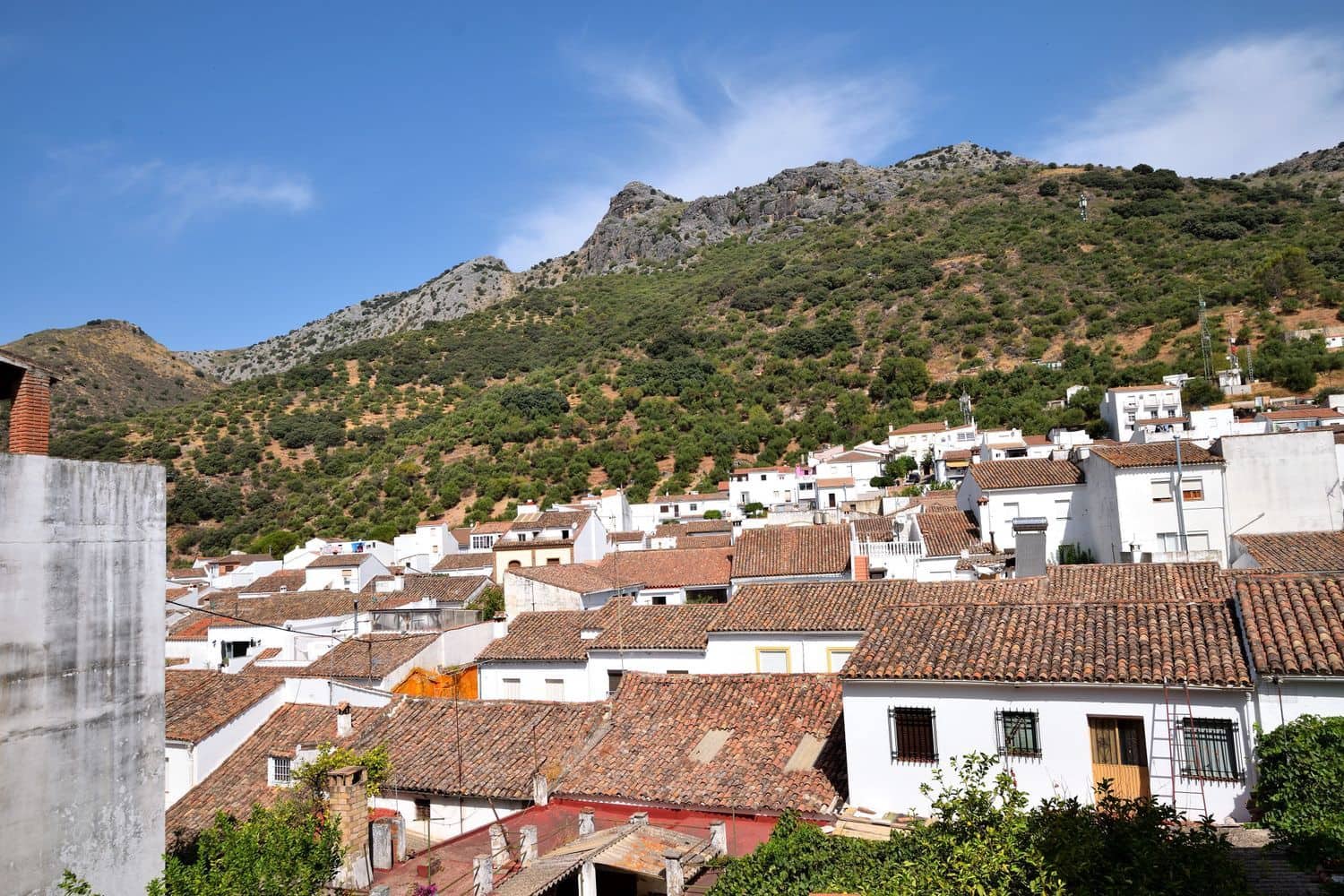 3 quarto Casa em Banda para venda em Cortes de la Frontera com garagem - 56 000 € (Ref: 10025067)