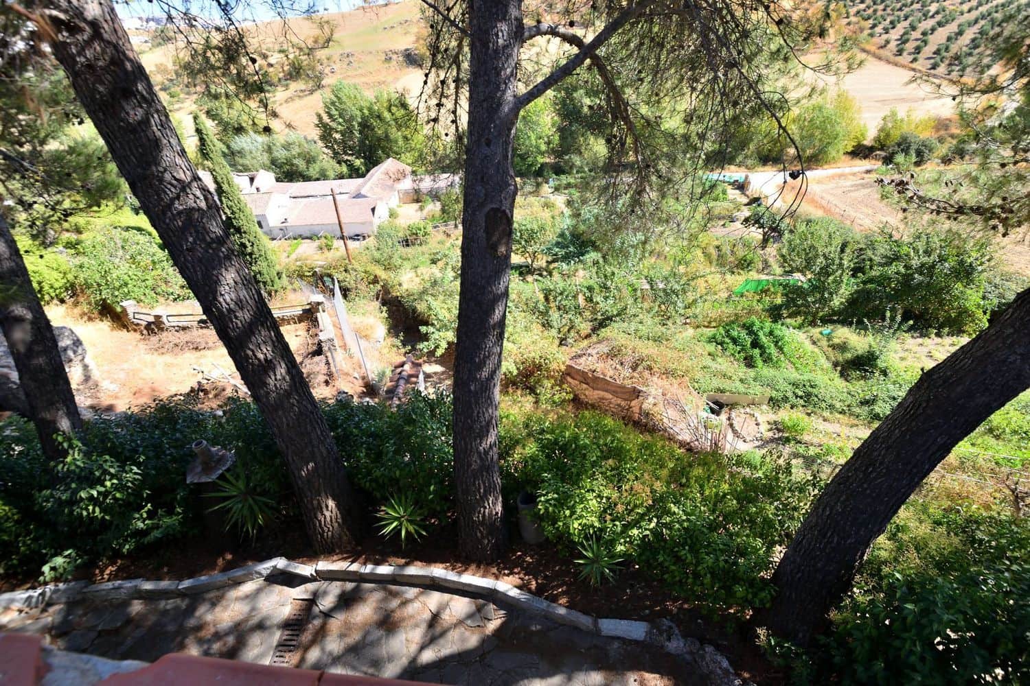 Finca/Casa Rural de 5 habitaciones en Ronda en venta con piscina garaje - 685.000 € (Ref: 10139083)