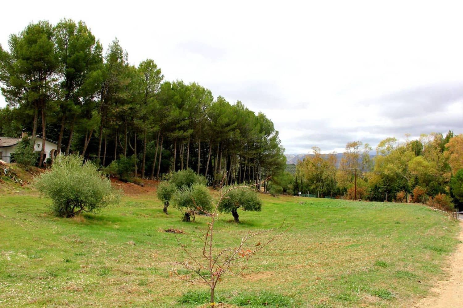3 bedroom Finca/Country House for sale in Ronda with pool garage - € 525,000 (Ref: 5452978)