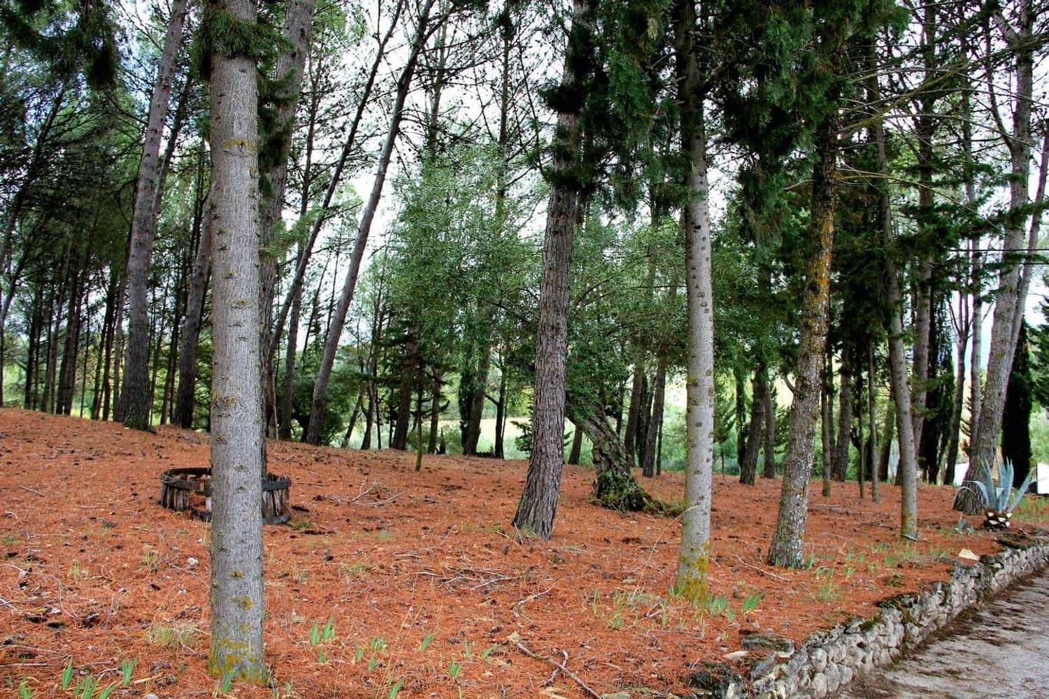 3 bedroom Finca/Country House for sale in Ronda with pool garage - € 525,000 (Ref: 5452978)