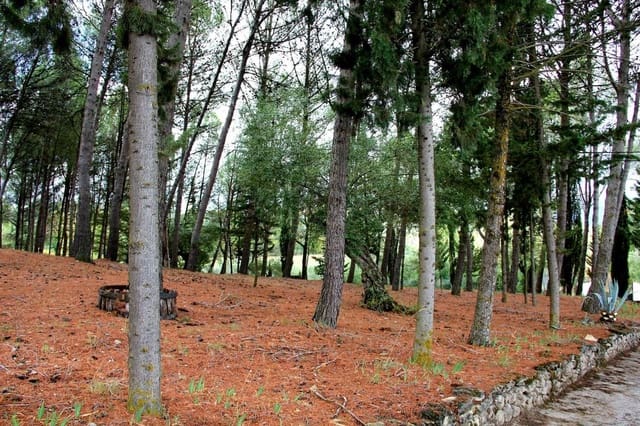 3 bedroom Finca/Country House for sale in Ronda with pool garage - € 525,000 (Ref: 5452978)