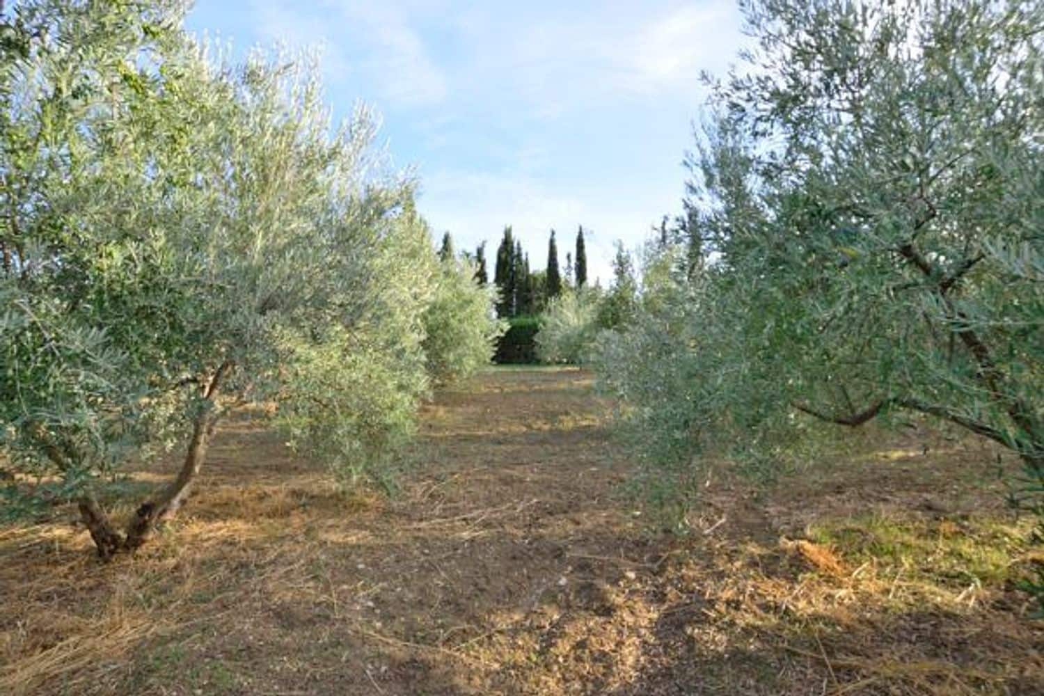 6 soveværelse Finca/Landehus til salg i Arriate med swimmingpool garage - € 550.000 (Ref: 5452999)