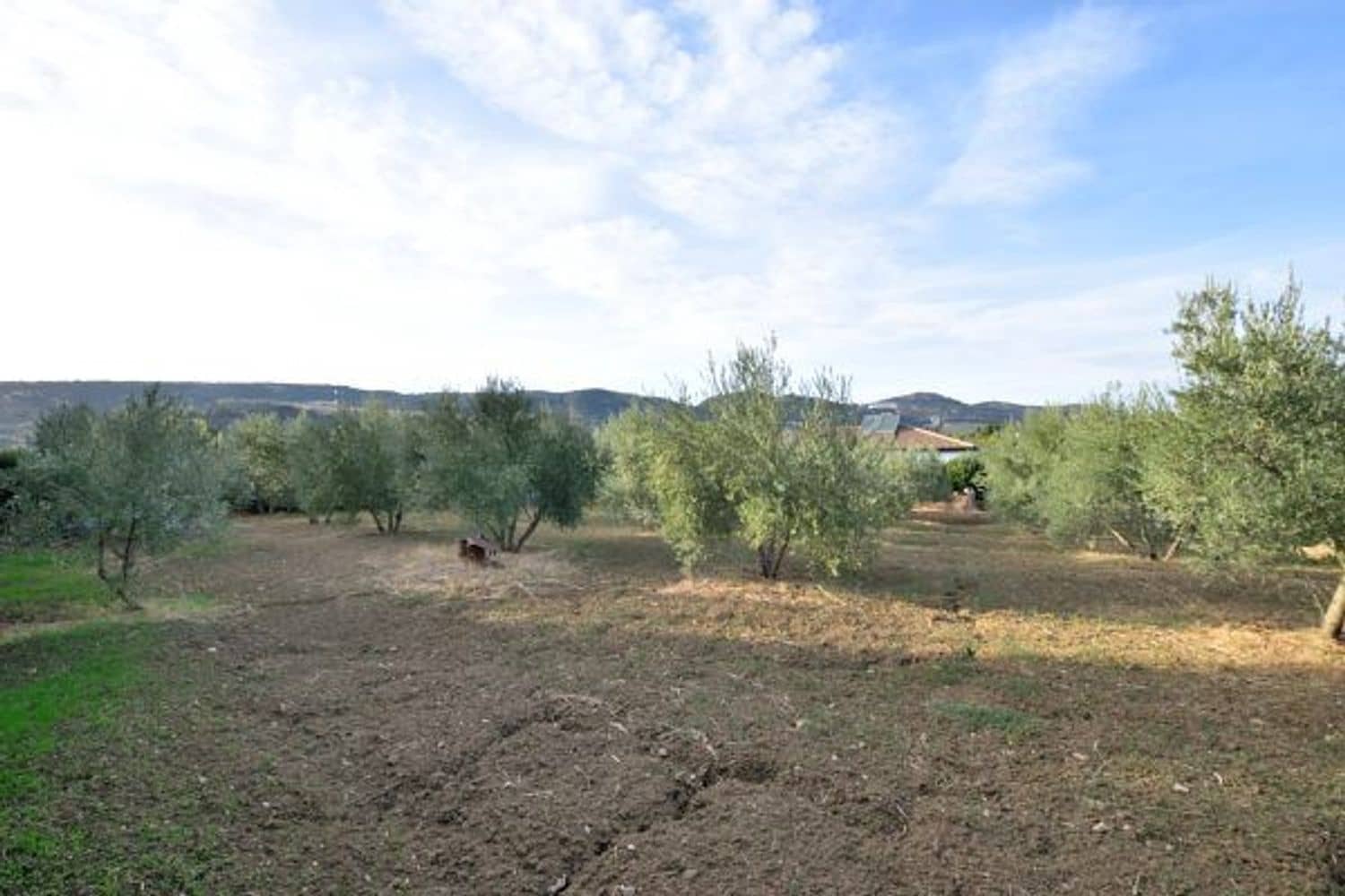 6 soveværelse Finca/Landehus til salg i Arriate med swimmingpool garage - € 550.000 (Ref: 5452999)