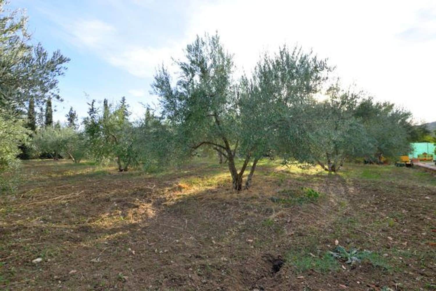 6 soveværelse Finca/Landehus til salg i Arriate med swimmingpool garage - € 550.000 (Ref: 5452999)