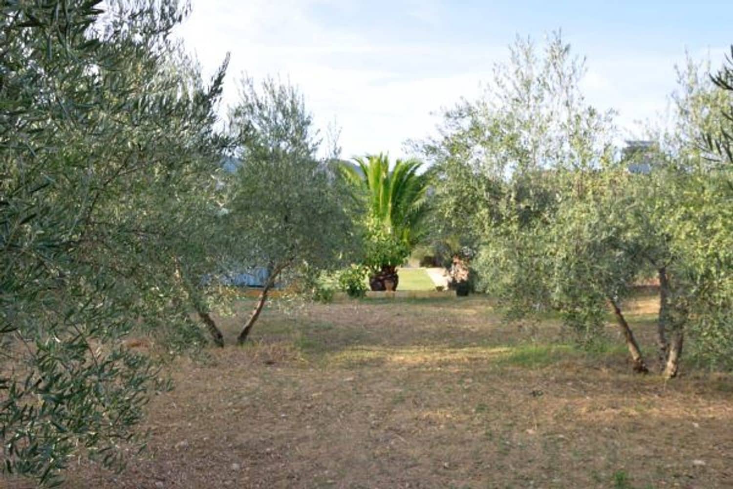 6 soveværelse Finca/Landehus til salg i Arriate med swimmingpool garage - € 550.000 (Ref: 5452999)