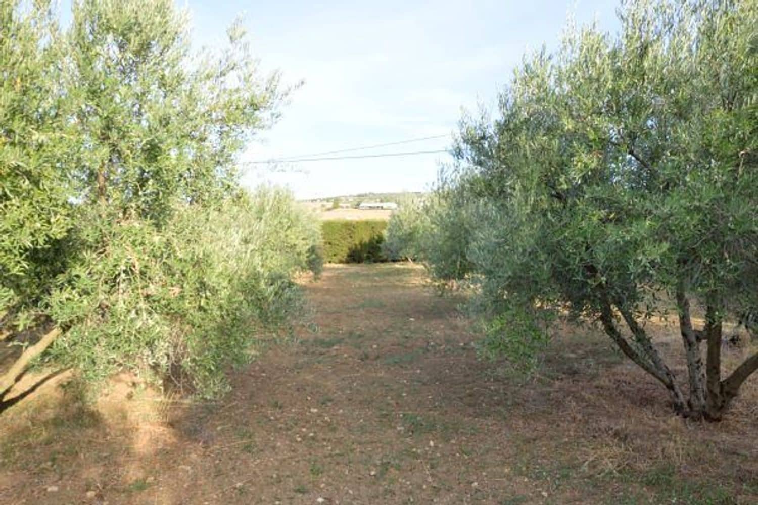 6 soveværelse Finca/Landehus til salg i Arriate med swimmingpool garage - € 550.000 (Ref: 5452999)