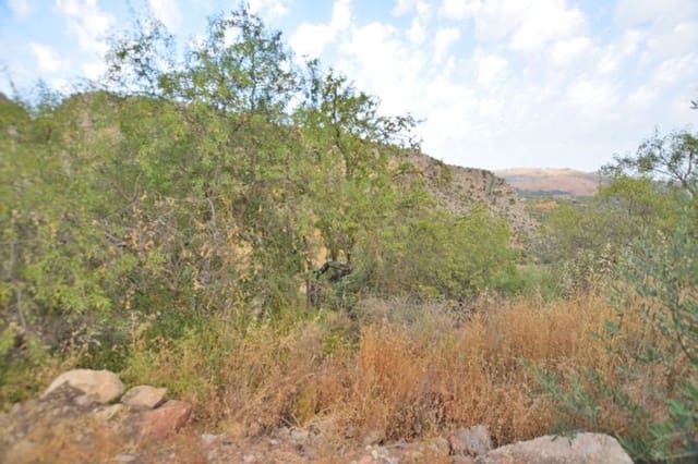 Ubebygd land til salgs i Montejaque - € 25 000 (Ref: 6993146)