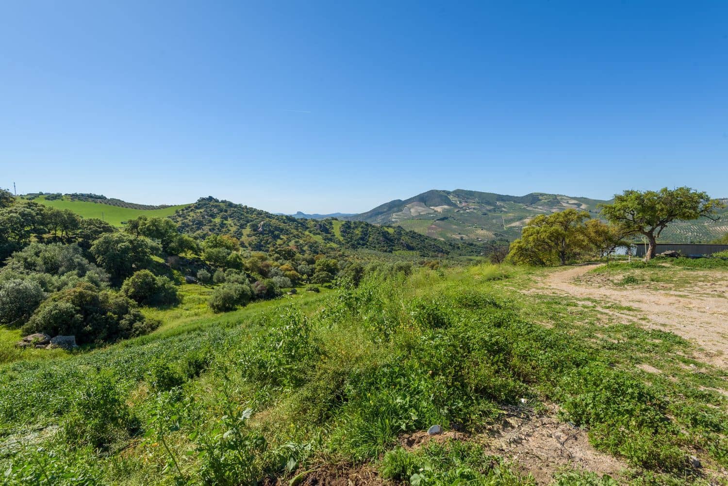 Grunde uden byggetilladelser til salg i Olvera - € 210.000 (Ref: 8246950)