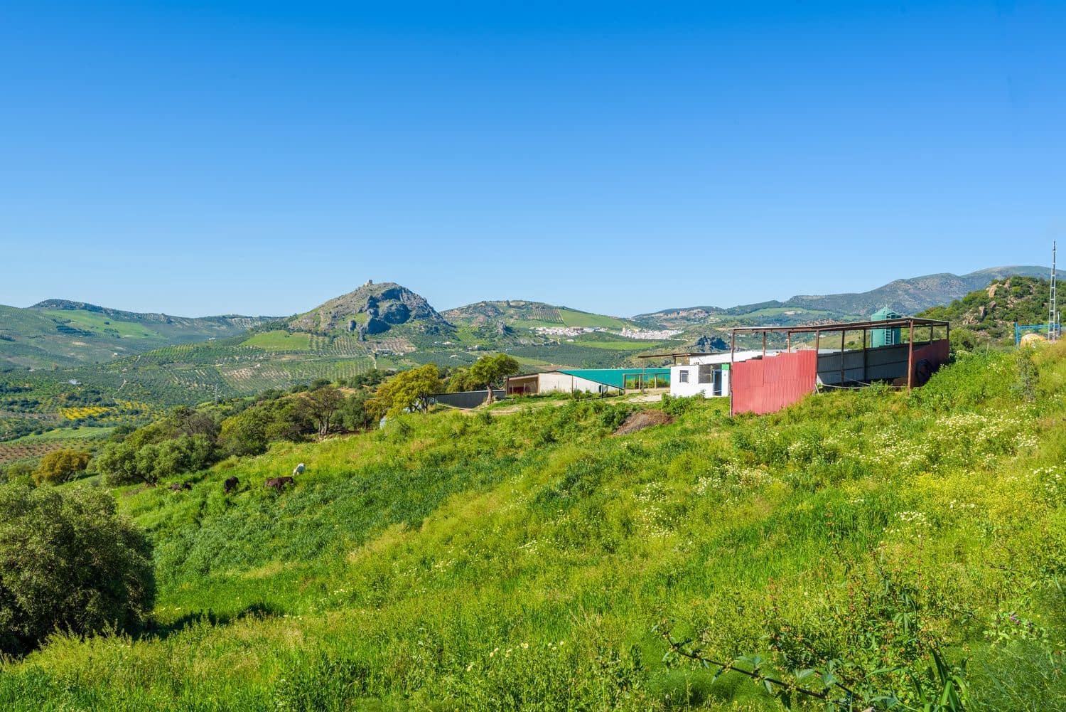 Grunde uden byggetilladelser til salg i Olvera - € 210.000 (Ref: 8246950)