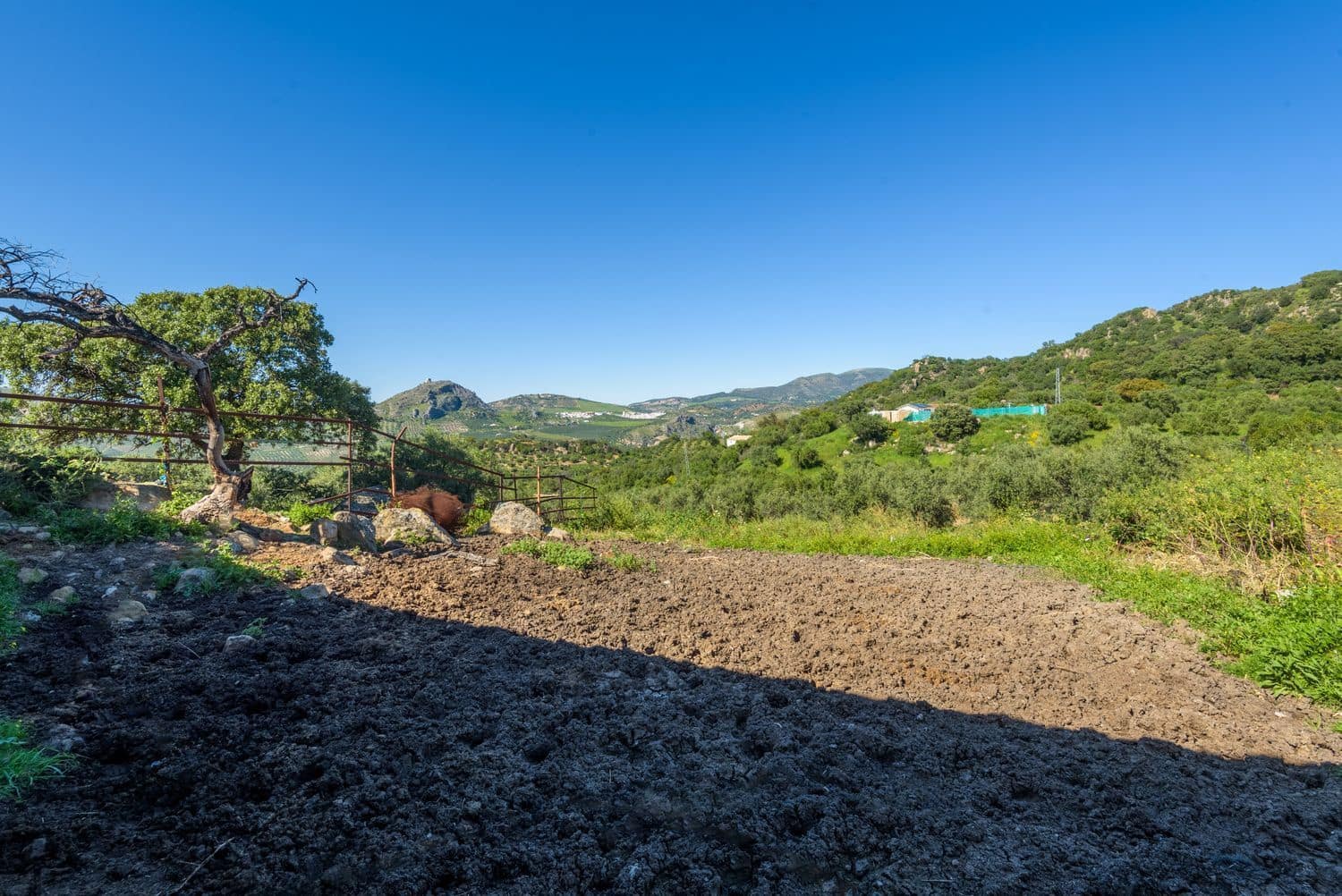 Grunde uden byggetilladelser til salg i Olvera - € 210.000 (Ref: 8246950)