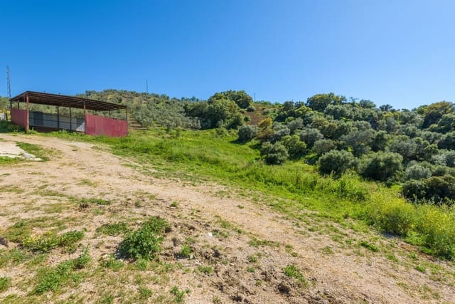 Grunde uden byggetilladelser til salg i Olvera - € 210.000 (Ref: 8246950)