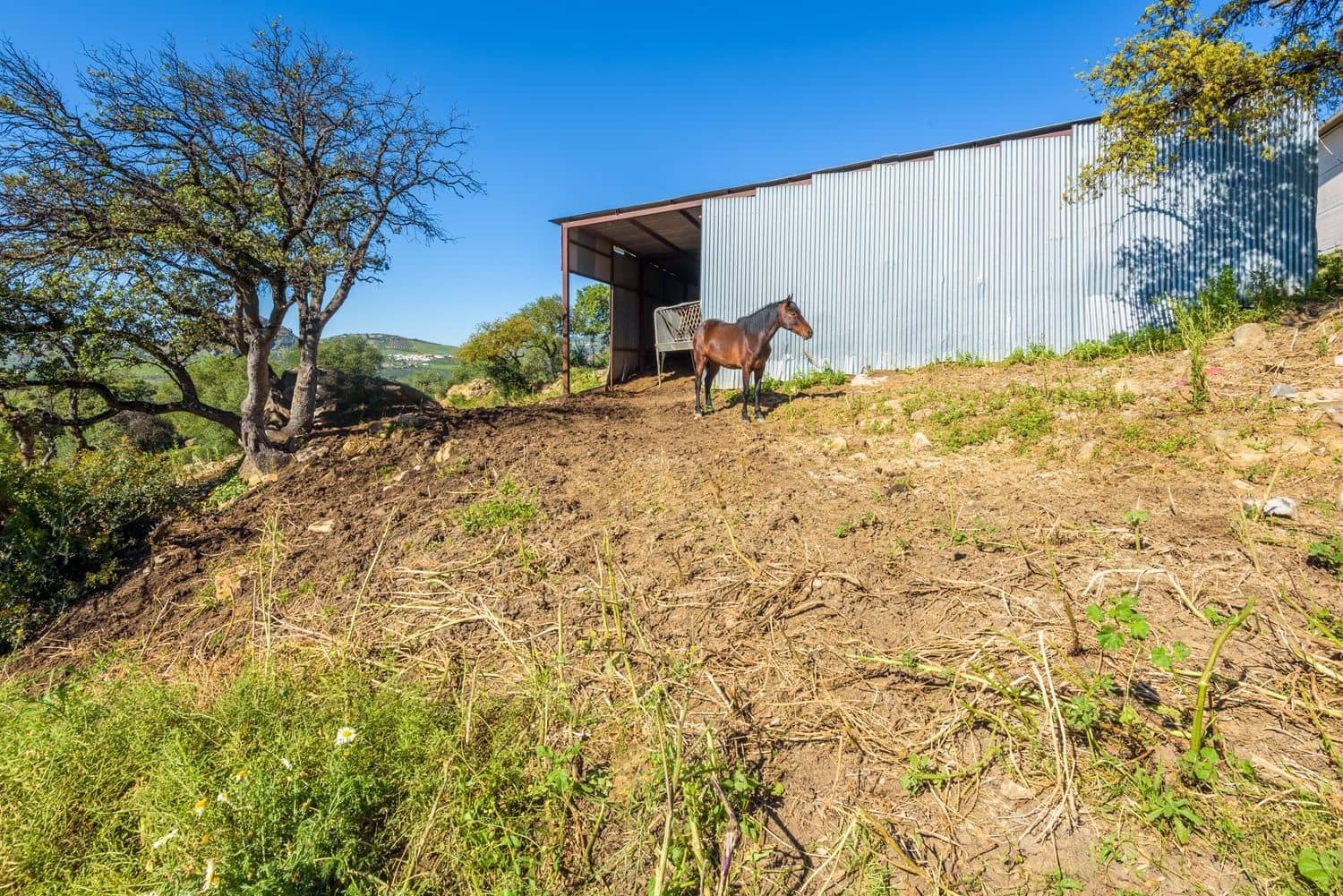 Grunde uden byggetilladelser til salg i Olvera - € 210.000 (Ref: 8246950)