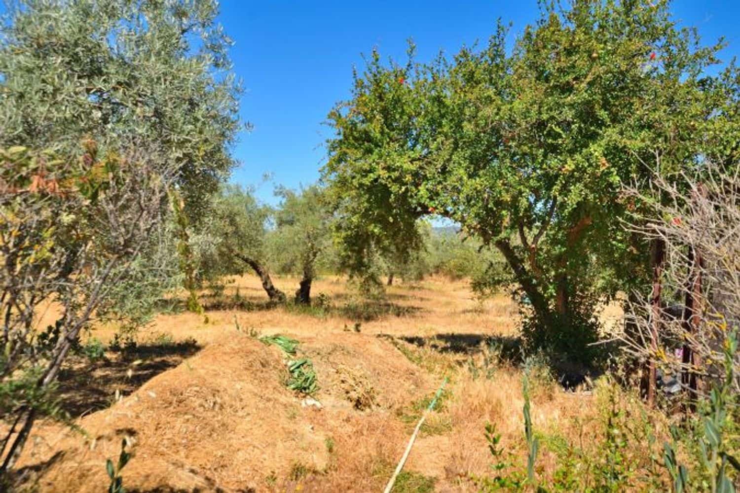 3 soveværelse Finca/Landehus til salg i Arriate med swimmingpool garage - € 480.000 (Ref: 8409055)