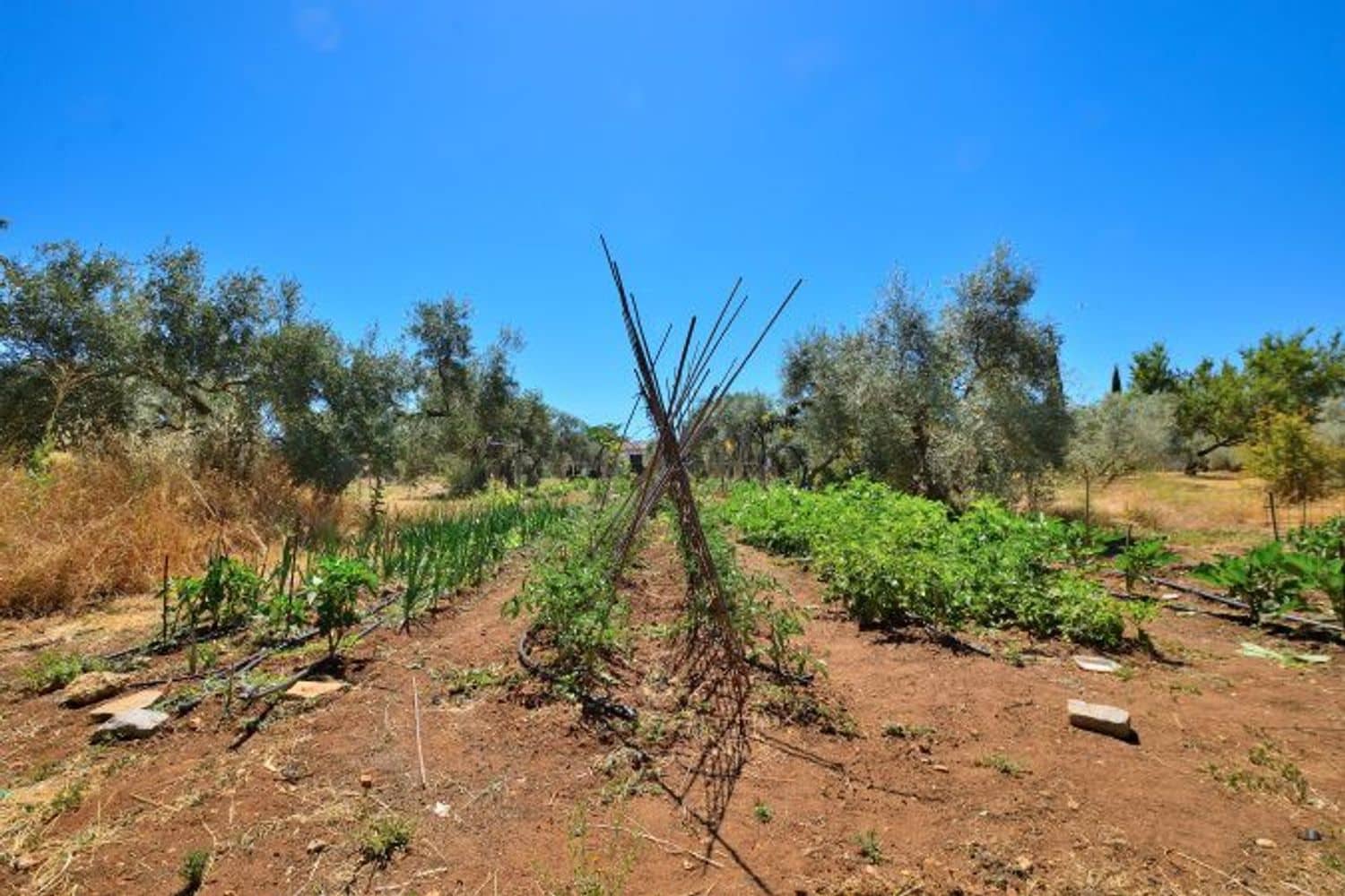 3 soveværelse Finca/Landehus til salg i Arriate med swimmingpool garage - € 480.000 (Ref: 8409055)