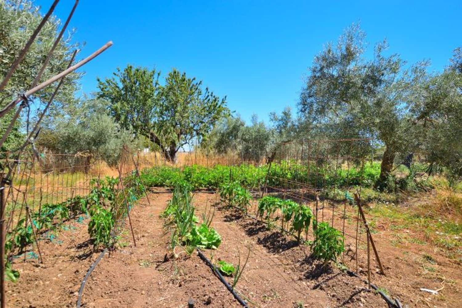 3 soveværelse Finca/Landehus til salg i Arriate med swimmingpool garage - € 480.000 (Ref: 8409055)