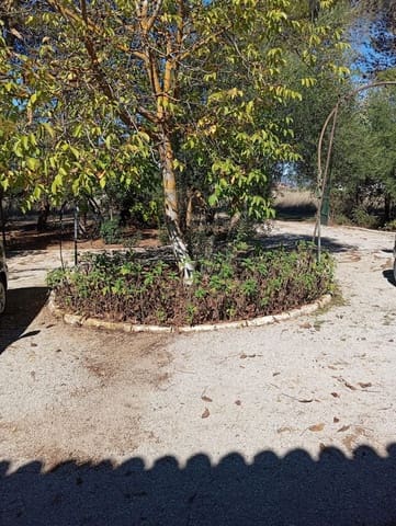 4 quarto Quinta/Casa Rural para arrendar em Ronda com piscina garagem - 1 500 € (Ref: 8599228)