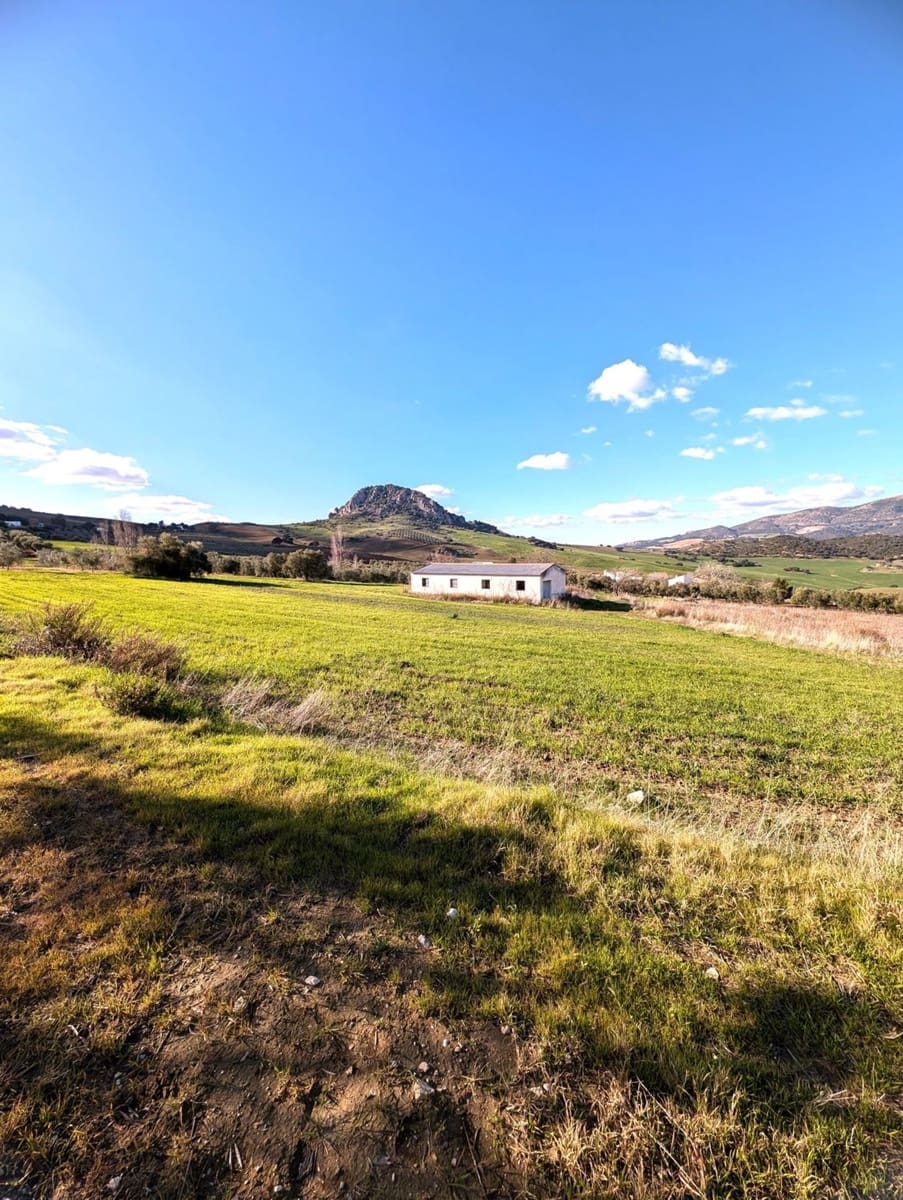Grunde uden byggetilladelser til salg i Olvera - € 50.000 (Ref: 8755195)