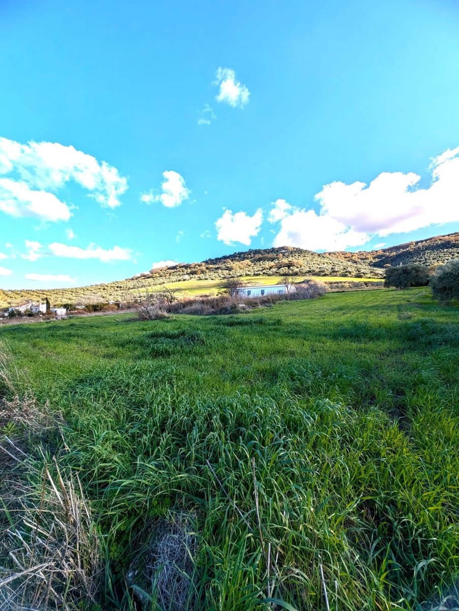 Grunde uden byggetilladelser til salg i Olvera - € 50.000 (Ref: 8755195)