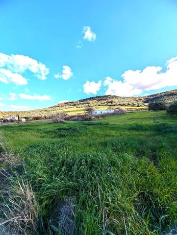 Grond te koop in Olvera - € 50.000 (Ref: 8755195)