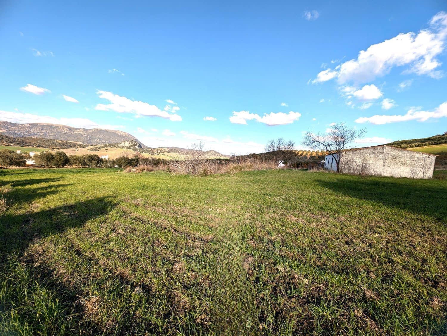 Grunde uden byggetilladelser til salg i Olvera - € 50.000 (Ref: 8755195)