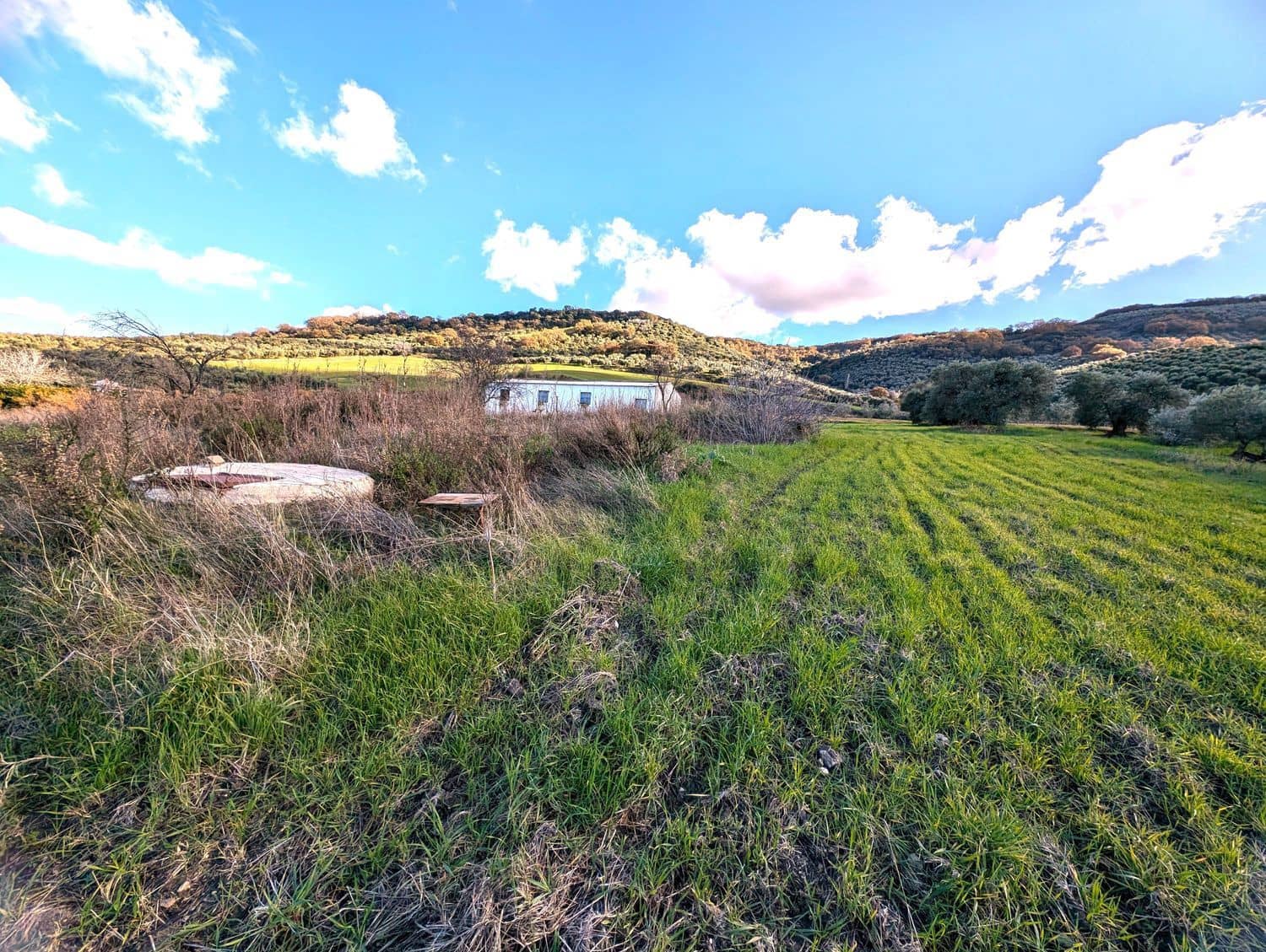 Grunde uden byggetilladelser til salg i Olvera - € 50.000 (Ref: 8755195)