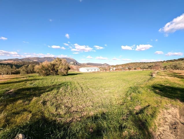 Grond te koop in Olvera - € 50.000 (Ref: 8755195)